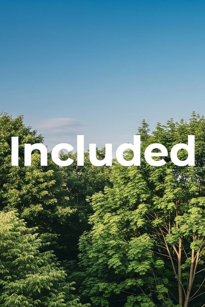 Virtual Window Views | Scenic Options for Vindow