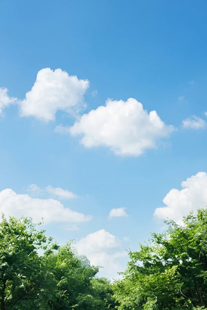 Virtual Window Views | Scenic Options for Vindow
