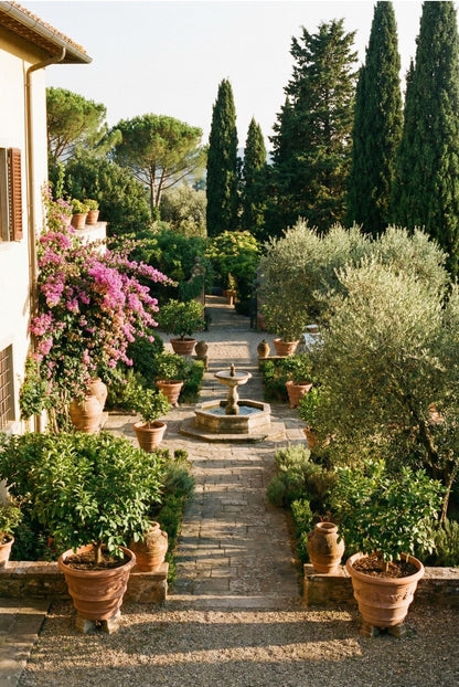 Virtual Window Views | Scenic Options for Vindow