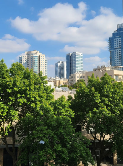 Virtual Window Views | Scenic Options for Vindow